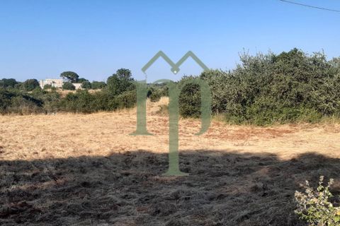 Helårsgrund i Ostuni, Brindisi, Ostuni - € 410.000 | Ref: Terreno Rella14 - foto 15